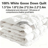 100% White Goose Down Quilt Thick Winter Comforter Four Seasons Quilt King Size Duvet Hotel Camping 1.5*2/1.8*2.2/2*2.3/2.2*2.4m