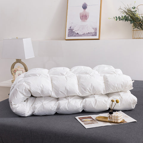 Luxury 100% Goose Down Soft Duvet Blanket King Queen Twin Size Comforter Bedding Filler Bread Shape Super Warm Quilt