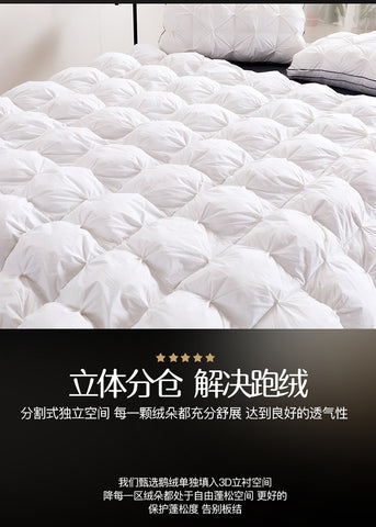Luxury 100% Goose Down Soft Duvet Blanket King Queen Twin Size Comforter Bedding Filler Bread Shape Super Warm Quilt