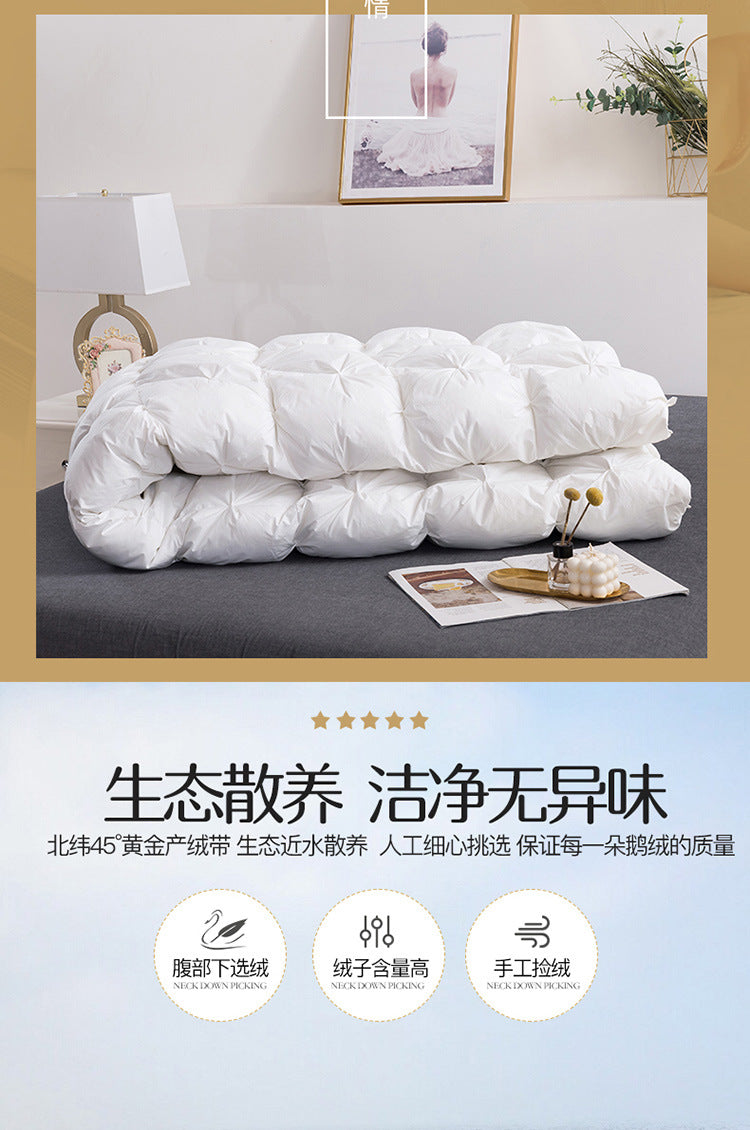 Luxury 100% Goose Down Soft Duvet Blanket King Queen Twin Size Comforter Bedding Filler Bread Shape Super Warm Quilt