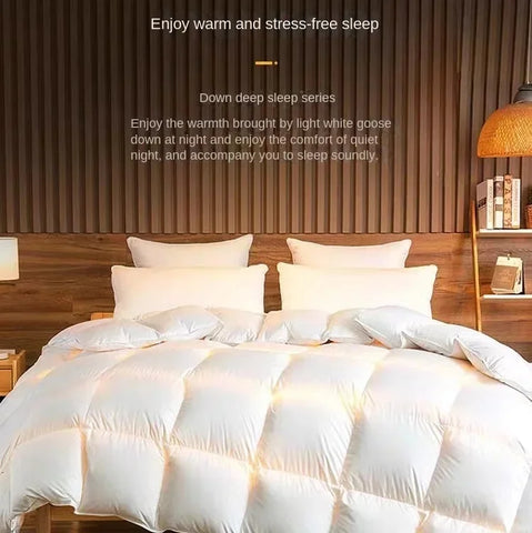 Anti-feather cloth 95 white goose down duvet silent winter quilt warm hotel gift quilt quilt core for home use