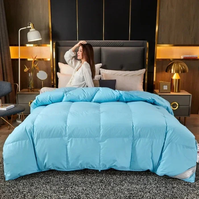 Down duvet 95 white goose down five-star hotel warm double single duvet core goose down duvet