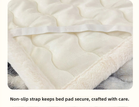 Thiened Rabbit Fur Warm Mattr Winter Home Use Milk Velvet Soft Pad Coral Velvet Bed Protector Tee Piece Set