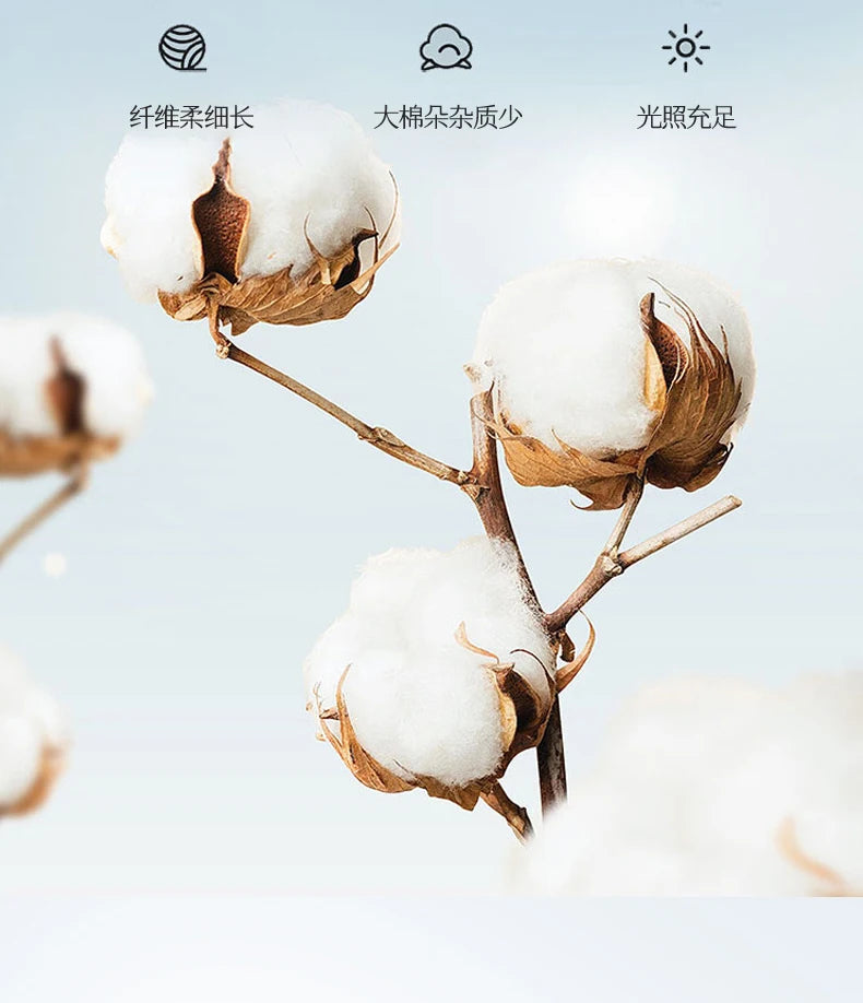 Summer Blanket 100% Cotton Inside and Outside Pure Cotton Air Conditioning Quilt Soft Skin-friendly Breathable Thin Duvet Summer