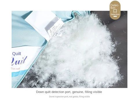 Anti-feather cloth 95 white goose down duvet silent winter quilt warm hotel gift quilt quilt core for home use