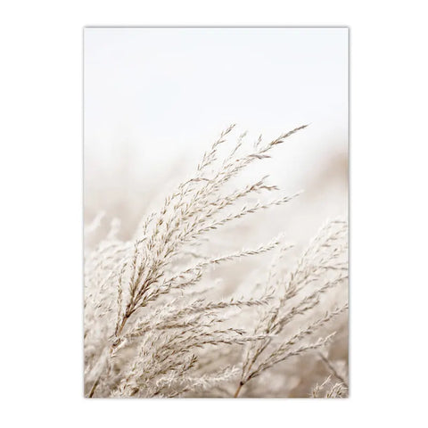 Nordic Beige Dandelion Painting Poster Reed Canvas Art Print Flower Posters Bunny Tail Grass Wall Art Picture Living Room Decor