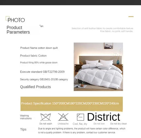 Down duvet 95 white goose down five-star hotel warm double single duvet core goose down duvet