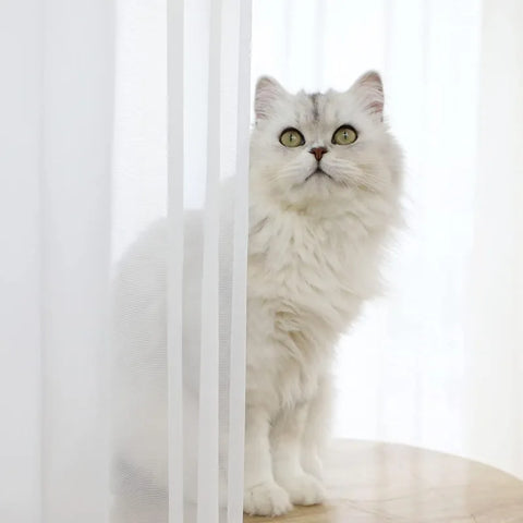 S Fold White Tulle Wavy Curtains Chiffon Sheer Curtains for Living Room Bedroom Dining Voile High Quality Luxury Decoration 1PC