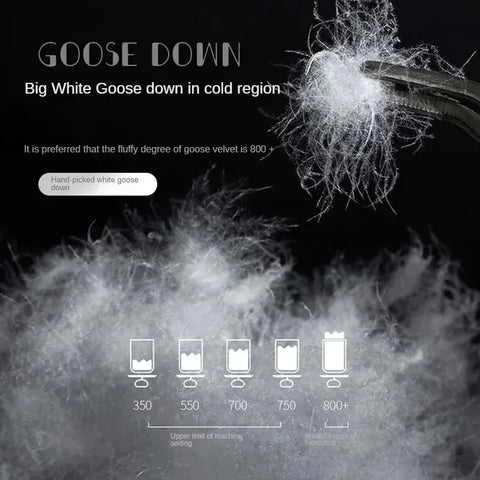 Anti-feather cloth 95 white goose down duvet silent winter quilt warm hotel gift quilt quilt core for home use