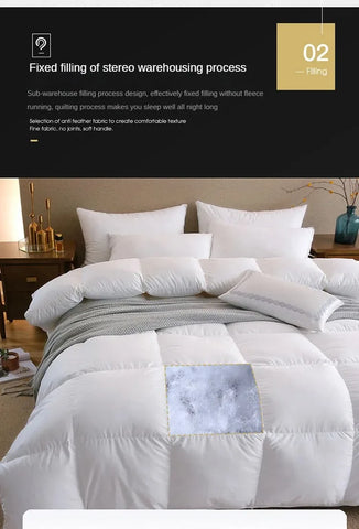 Down duvet 95 white goose down five-star hotel warm double single duvet core goose down duvet