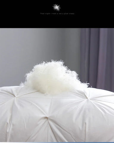 Goose Down Soft Duvet Luxury Blanket King Queen Twin Size Comforter Bedding Filler Bread Shape Super Warm Quilt