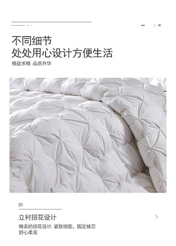 Goose Down Soft Duvet Luxury Blanket King Queen Twin Size Comforter Bedding Filler Bread Shape Super Warm Quilt