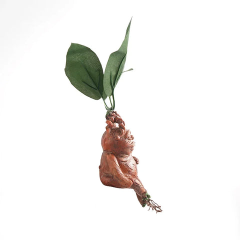 Home Decoration Garden Ornaments Resin Ornaments Harrys Suitable for Living Room Bedroom Office Fairy Pottered Premium