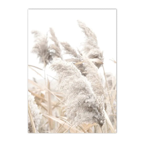 Nordic Beige Dandelion Painting Poster Reed Canvas Art Print Flower Posters Bunny Tail Grass Wall Art Picture Living Room Decor