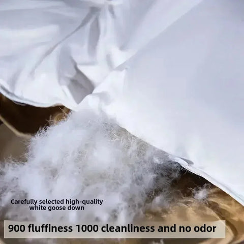 Down duvet 95 white goose down five-star hotel warm double single duvet core goose down duvet