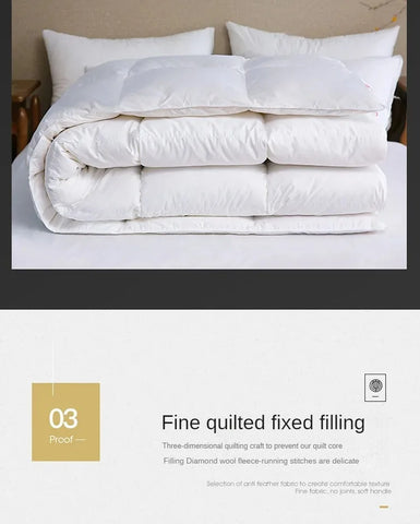 Down duvet 95 white goose down five-star hotel warm double single duvet core goose down duvet
