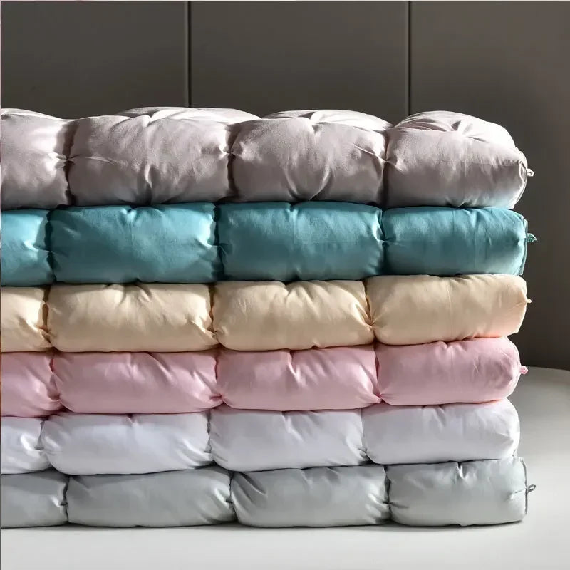 Down duvet 95 white goose down five-star hotel warm double single duvet core goose down duvet