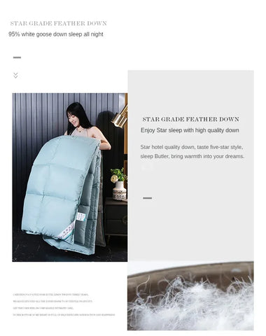 Anti-feather cloth 95 white goose down duvet silent winter quilt warm hotel gift quilt quilt core for home use