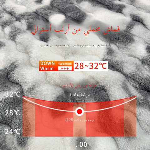 Thiened Rabbit Fur Warm Mattr Winter Home Use Milk Velvet Soft Pad Coral Velvet Bed Protector Tee Piece Set