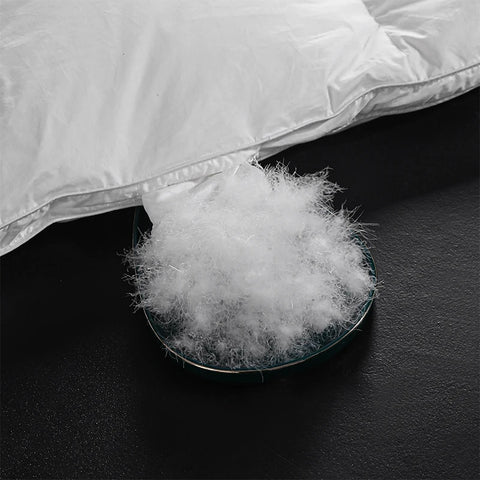 2025 goose down quilts duvets thick California Super King full size comforter up to the standard for the winter provides warmth