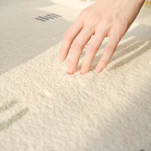 Large Area Carpets for Living Room Fluffy Soft Lounge Floor Mat Thick Anti-slip Study Rug Cream Style Bedroom Plush Decor Carpet