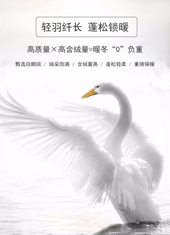 Goose Down Soft Duvet Luxury Blanket King Queen Twin Size Comforter Bedding Filler Bread Shape Super Warm Quilt