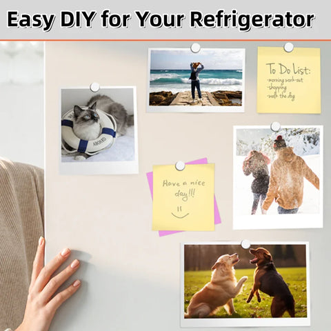 Super Powerful Magnets Strong Disc Magnets for Fridge, Building, Education,DIY, Craft, 4x3 5x2 5x3 6x3 8x2 10x2 10x3