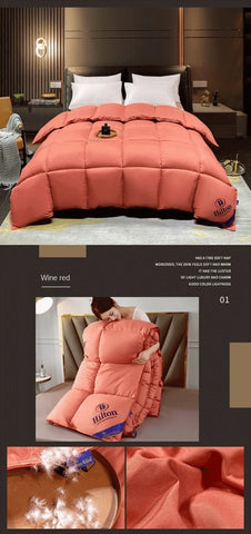 Anti-feather cloth 95 white goose down duvet silent winter quilt warm hotel gift quilt quilt core for home use