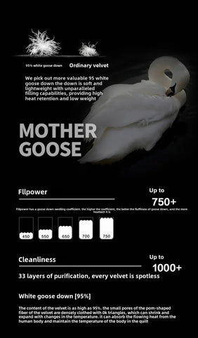 Goose Down Soft Duvet Luxury Blanket King Queen Twin Size Comforter Bedding Filler Bread Shape Super Warm Quilt