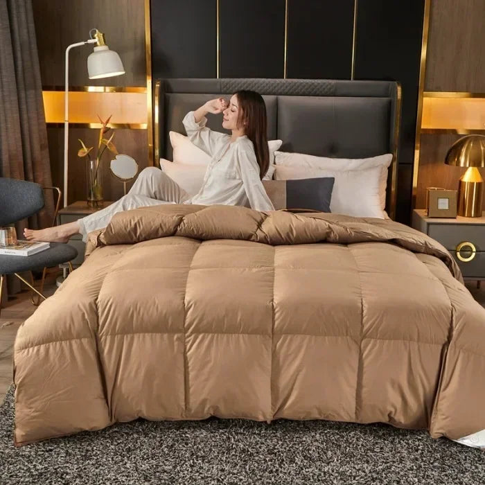 Down duvet 95 white goose down five-star hotel warm double single duvet core goose down duvet