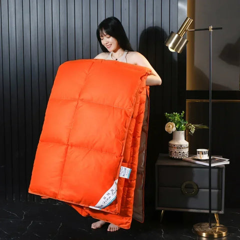 Anti-feather cloth 95 white goose down duvet silent winter quilt warm hotel gift quilt quilt core for home use