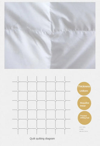 Down duvet 95 white goose down five-star hotel warm double single duvet core goose down duvet