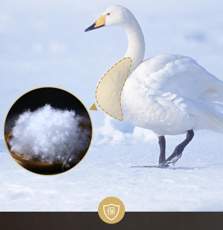 Down duvet 95 white goose down five-star hotel warm double single duvet core goose down duvet