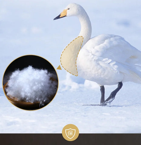 Down duvet 95 white goose down five-star hotel warm double single duvet core goose down duvet
