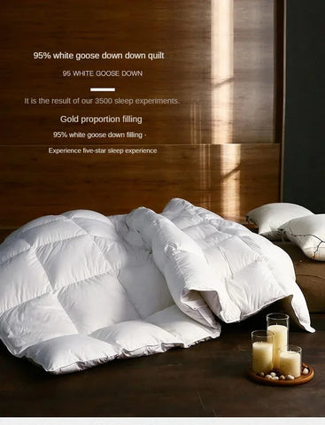 Down duvet 95 white goose down five-star hotel warm double single duvet core goose down duvet