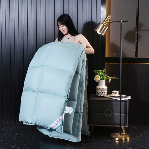 Anti-feather cloth 95 white goose down duvet silent winter quilt warm hotel gift quilt quilt core for home use