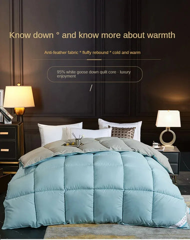 Anti-feather cloth 95 white goose down duvet silent winter quilt warm hotel gift quilt quilt core for home use