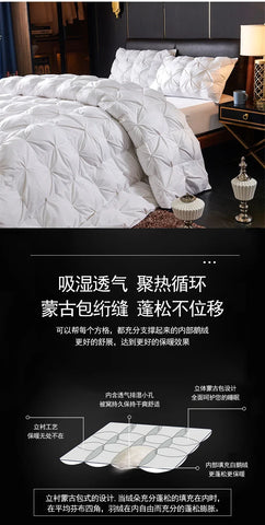 Goose Down Soft Duvet Luxury Blanket King Queen Twin Size Comforter Bedding Filler Bread Shape Super Warm Quilt