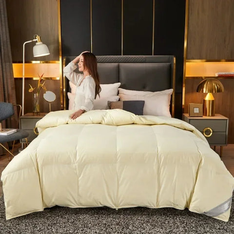 Down duvet 95 white goose down five-star hotel warm double single duvet core goose down duvet