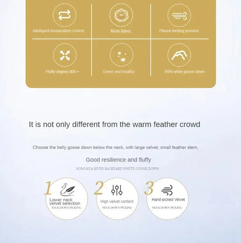 Down duvet 95 white goose down five-star hotel warm double single duvet core goose down duvet