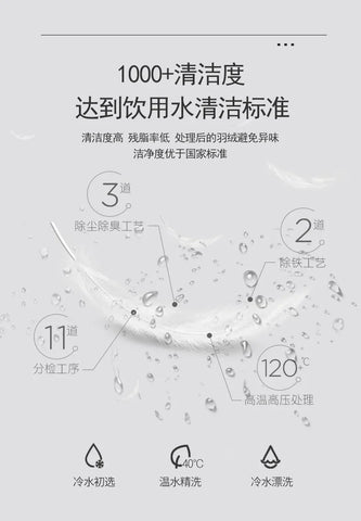 Goose Down Soft Duvet Luxury Blanket King Queen Twin Size Comforter Bedding Filler Bread Shape Super Warm Quilt