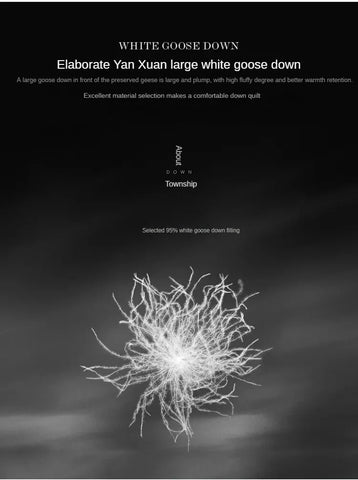 Anti-feather cloth 95 white goose down duvet silent winter quilt warm hotel gift quilt quilt core for home use