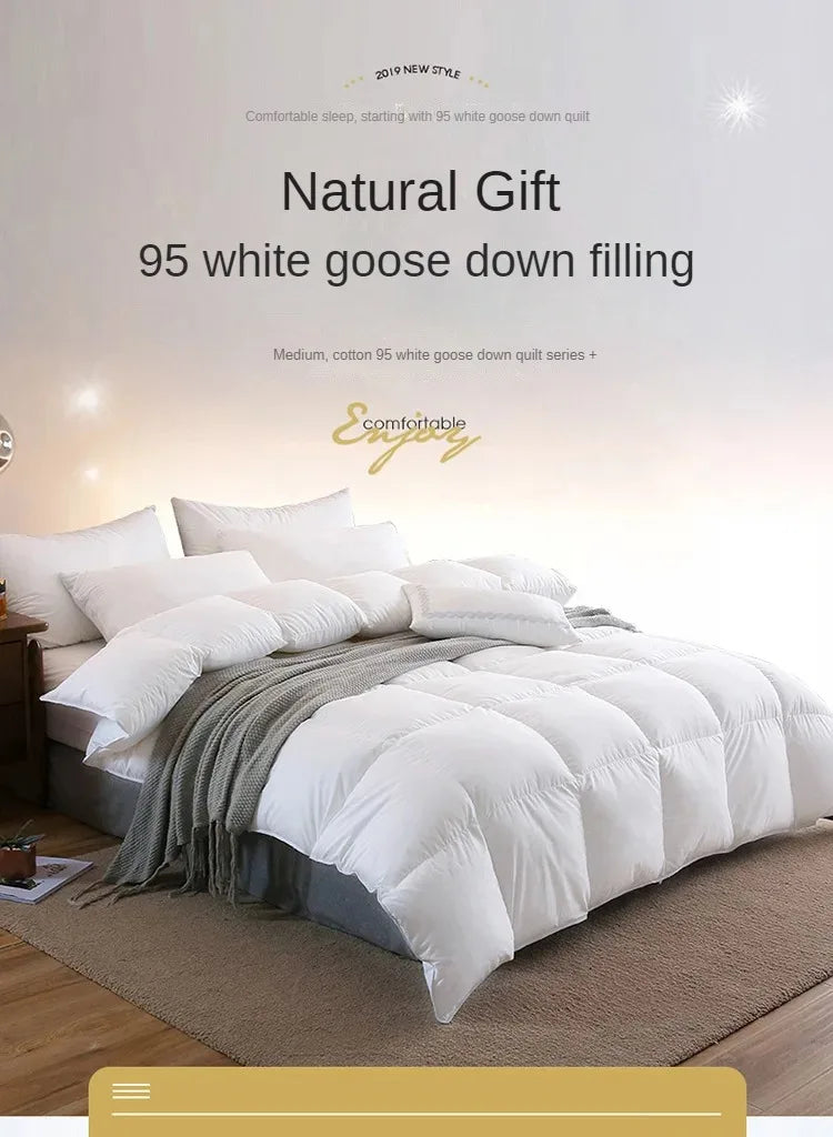 Down duvet 95 white goose down five-star hotel warm double single duvet core goose down duvet