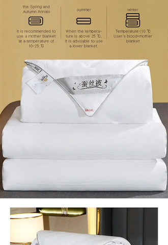 100% Mulberry Silk Quilt Healthy Beauty Handwork Silk Comforters Duvet Silk Filled Double Queen King Quilt 1PCS Durable Bedding