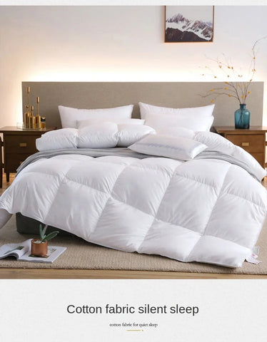 Down duvet 95 white goose down five-star hotel warm double single duvet core goose down duvet